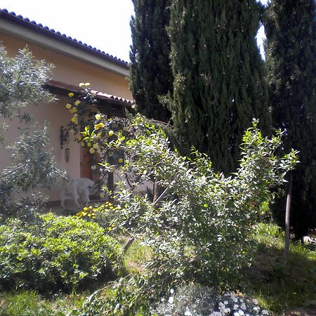 Le Tre Querce Bed and Breakfast Fiano Romano Exterior foto